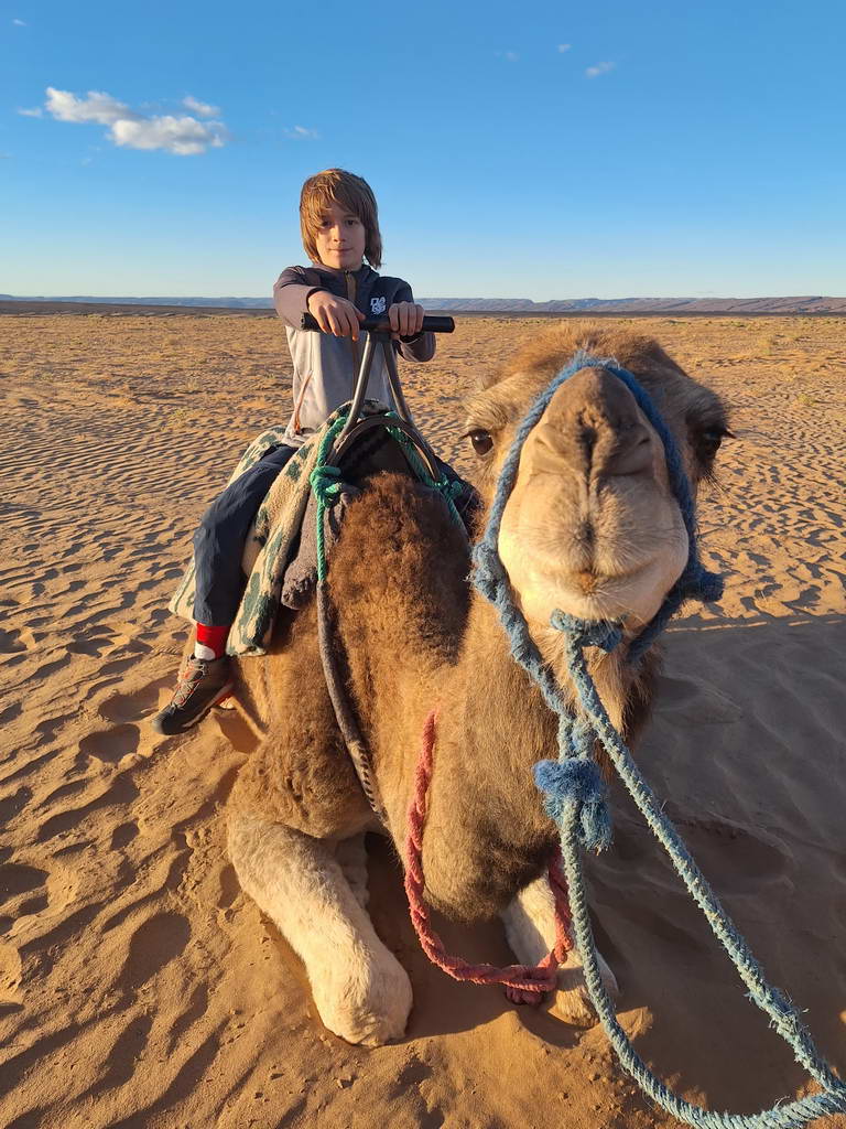 kid on a camel in Moroccan Sahara